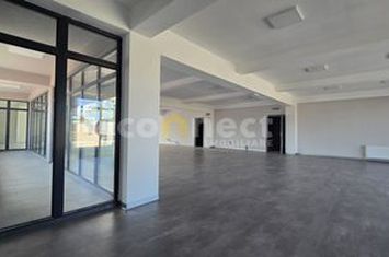 Birou de inchiriat CLUJ-NAPOCA - Cluj anunturi imobiliare Cluj