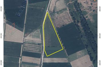 Teren construibil 26.001 mp în Chrysochori anunturi imobiliare Grecia
