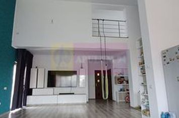 Vila 4 camere cu curte, parcare, terasa in comuna Berceni anunturi imobiliare Bucuresti