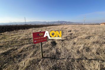 Teren de vanzare, 1300mp anunturi imobiliare Alba