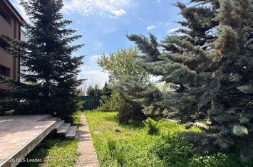 Tamasi - langa padure, casa 300 mp teren 711 mp, personalizabila anunturi imobiliare Bucuresti