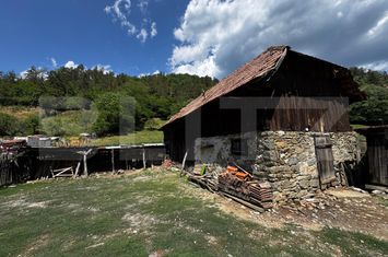 Casă - 3 camere de vanzare AMPOITA - Alba anunturi imobiliare Alba