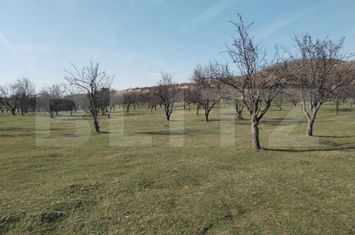 Teren de vanzare ANINOASA - Dambovita anunturi imobiliare Dambovita