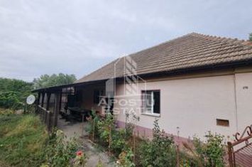 Casa individuala, curte generoasa, centrala proprie, sat Covaci anunturi imobiliare Timis