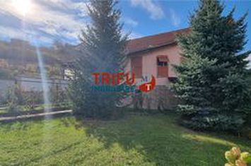 Casă - 4 camere de vanzare CENTRAL - Alba anunturi imobiliare Alba