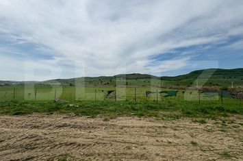 Spațiu comercial de vanzare BISTRITA - Bistrita-Nasaud anunturi imobiliare Bistrita-Nasaud