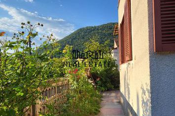 Casă - 3 camere de vanzare CRISCIOR - Hunedoara anunturi imobiliare Hunedoara