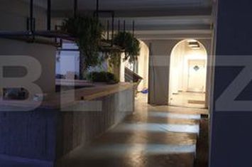 Apartament 20 camere de vanzare TIMISOARA - Timis anunturi imobiliare Timis