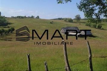 Teren de vanzare CRINT - Sibiu anunturi imobiliare Sibiu