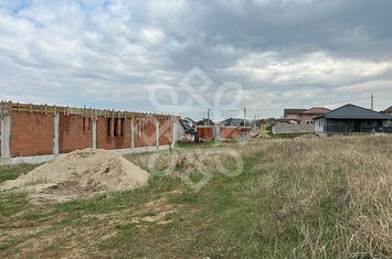 Teren Intravilan de vanzare PALEU - Bihor anunturi imobiliare Bihor