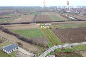 Teren Intravilan de vanzare ODOREU - Satu Mare anunturi imobiliare Satu Mare