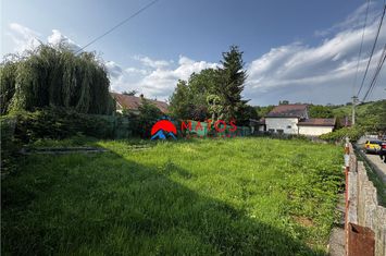 Teren Intravilan de vanzare MUSCEL - Prahova anunturi imobiliare Prahova