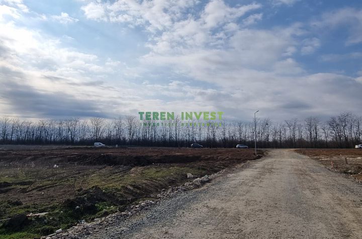8.000 MP - INDUSTRIAL - POPESTI LEORDENI - CENTURA anunturi imobiliare Bucuresti