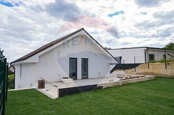 Casă / Vilă cu 4 camere de vânzare anunturi imobiliare Cluj