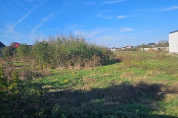 Teren de vanzare 1 DECEMBRIE - Bucuresti anunturi imobiliare Bucuresti