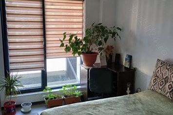 Apartament 2 camere de vanzare SANPETRU - Brasov anunturi imobiliare Brasov