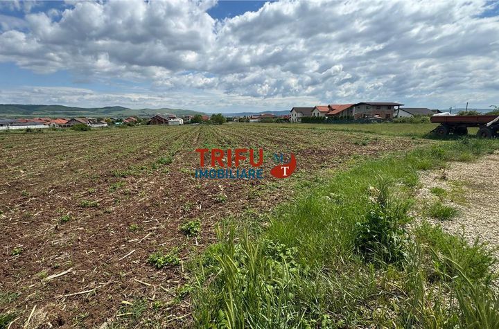 Teren Intravilan de vanzare CENTRAL - Alba anunturi imobiliare Alba