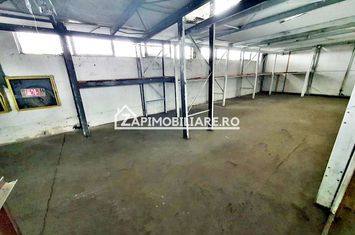 Hale cu suprafatade  220 mp si 440 mp zona Ambient anunturi imobiliare Mures