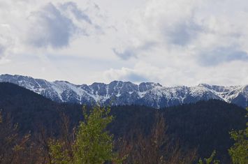 PESTERA CASA DE VANZARE - MOECIU! anunturi imobiliare Brasov