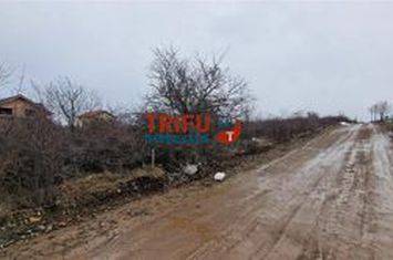 Teren Intravilan de vanzare CETATE - Alba anunturi imobiliare Alba