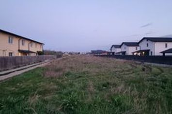 Teren de vanzare BACAU - Bacau anunturi imobiliare Bacau