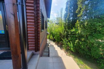 Inchiriez casa de 6 camere pe Nicolae Patrascu, Gruia! anunturi imobiliare Cluj