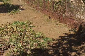 Teren Intravilan de vanzare GHENCEA - Bucuresti anunturi imobiliare Bucuresti