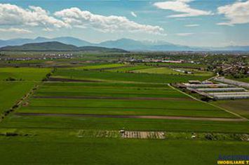 Teren Extravilan de vanzare BOD - Brasov anunturi imobiliare Brasov