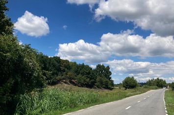 Parcelă de teren 5.381 mp, deschidere 137 m – SIBIEL anunturi imobiliare Sibiu
