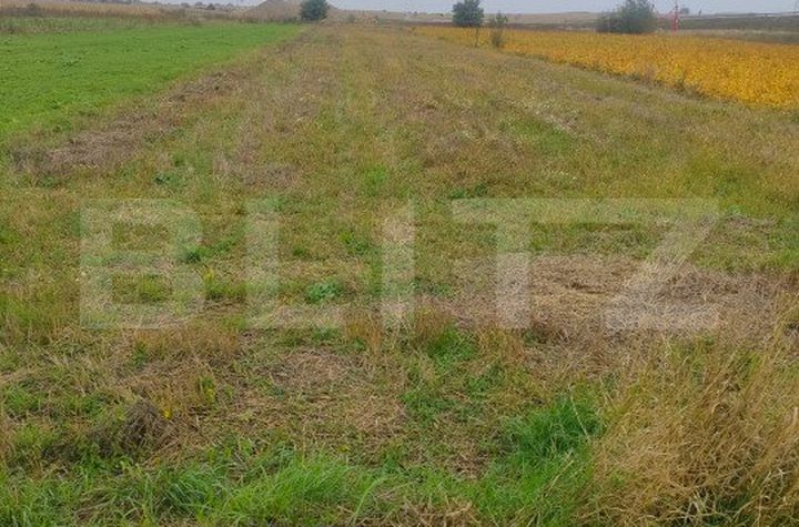 Teren de vanzare RADAUTI - Suceava anunturi imobiliare Suceava