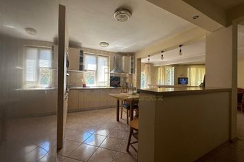 Vanzare - Vila - 7 camere - Curte 511 mp - Parcul Mogosoaia anunturi imobiliare Bucuresti