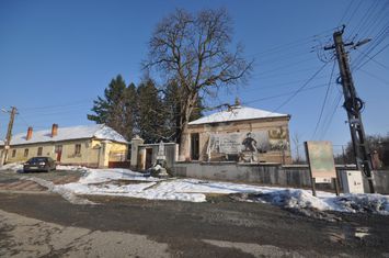 Conac apartinand lui Cicio POP, judet ARAD anunturi imobiliare Arad
