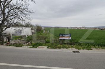 Teren de vanzare PODGORIA - Bihor anunturi imobiliare Bihor