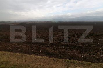 Teren de vanzare ALBA IULIA - Alba anunturi imobiliare Alba