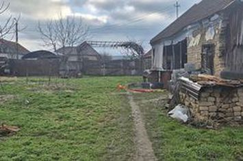 Casa cu teren 4000 mp in Bogei, Bihor anunturi imobiliare Bihor