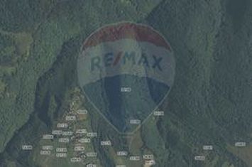 Padure 34 ha Capusu Mare anunturi imobiliare Cluj