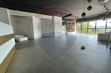 Spațiu comercial Vanzare cu Chiriasi | Taietura Turcului anunturi imobiliare Cluj