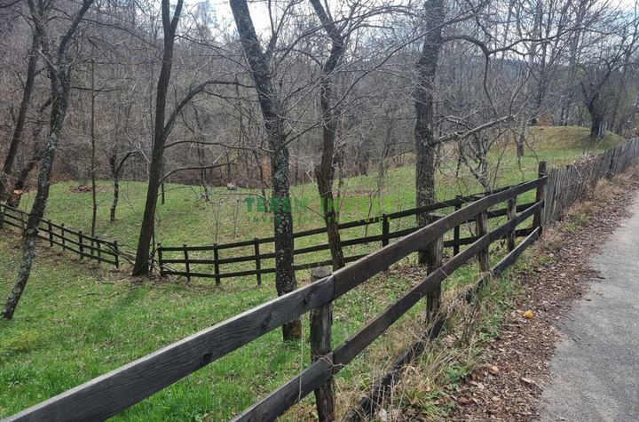 Teren de vânzare în Valea Doftanei 7000 mp - intravilan anunturi imobiliare Prahova