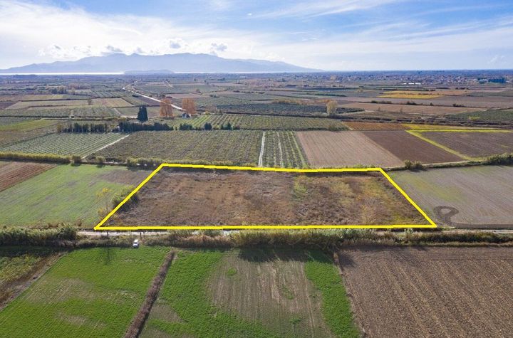 Teren agricol 12.816 mp, Drymousa Chrysoupolis anunturi imobiliare Grecia