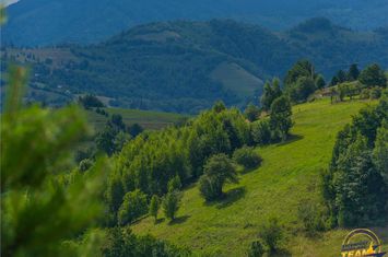 Teren Intravilan de vanzare POIANA MARULUI - Brasov anunturi imobiliare Brasov