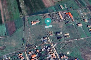Loc de casa de 512mp în Livada anunturi imobiliare Arad