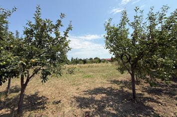 VALEA URSULUI, TEREN INTRAVILAN DE VANZARE,  LA MARGINE DE PADURE anunturi imobiliare Iasi