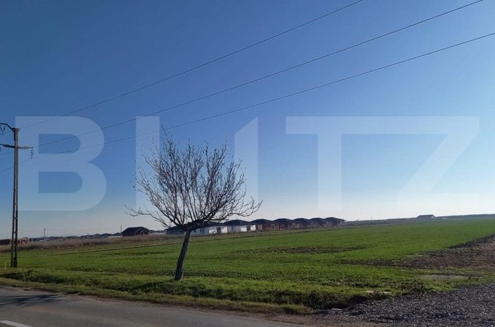 Teren de vanzare SANTANDREI - Bihor anunturi imobiliare Bihor