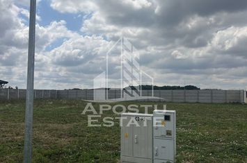 Teren Ghiroda cartier Bistra - toate utilitatile anunturi imobiliare Timis