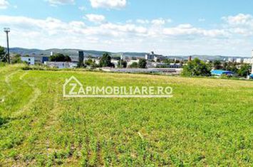 Teren 7.000 mp, Targu Mures anunturi imobiliare Mures
