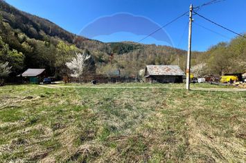 Teren Tarnița / Lăpușești anunturi imobiliare Cluj