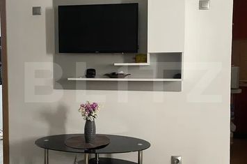 Garsonieră de vanzare TURDA - Cluj anunturi imobiliare Cluj