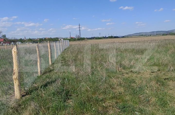 Teren de vanzare ALBA IULIA - Alba anunturi imobiliare Alba