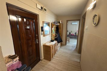 Apartament 2 camere de vanzare MICRO 17 - Satu Mare anunturi imobiliare Satu Mare