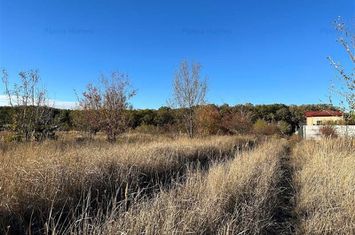 Teren intravilan 1170 mp Corbeanca Padurea Tamasi anunturi imobiliare Bucuresti